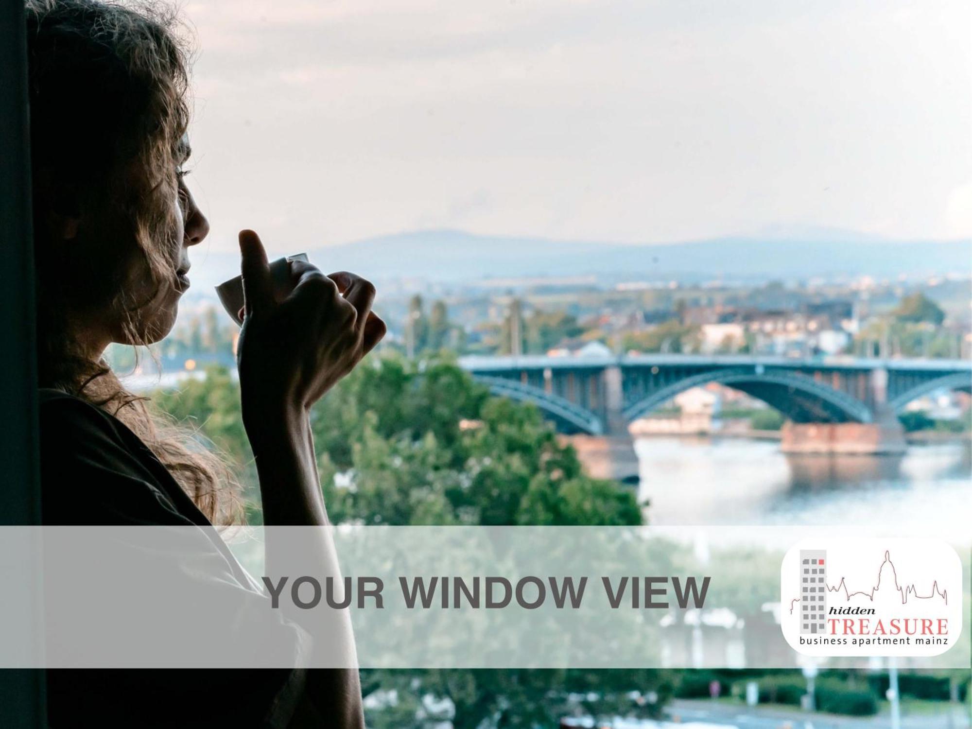 Hidden Treasure Business Apartment Mainz - Fantastic Rhine View In Center Of Mainz Old Town エクステリア 写真