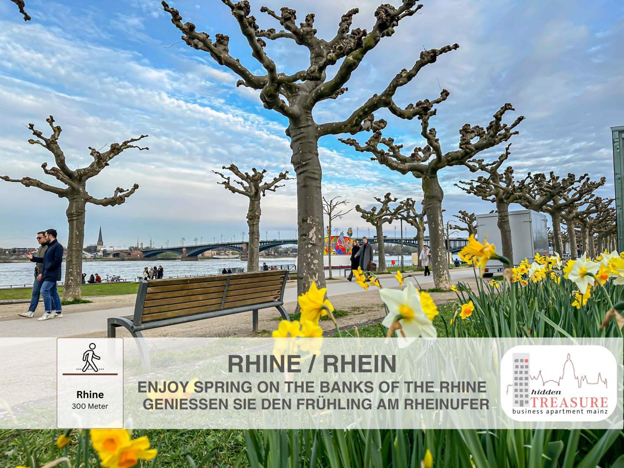 Hidden Treasure Business Apartment Mainz - Fantastic Rhine View In Center Of Mainz Old Town エクステリア 写真