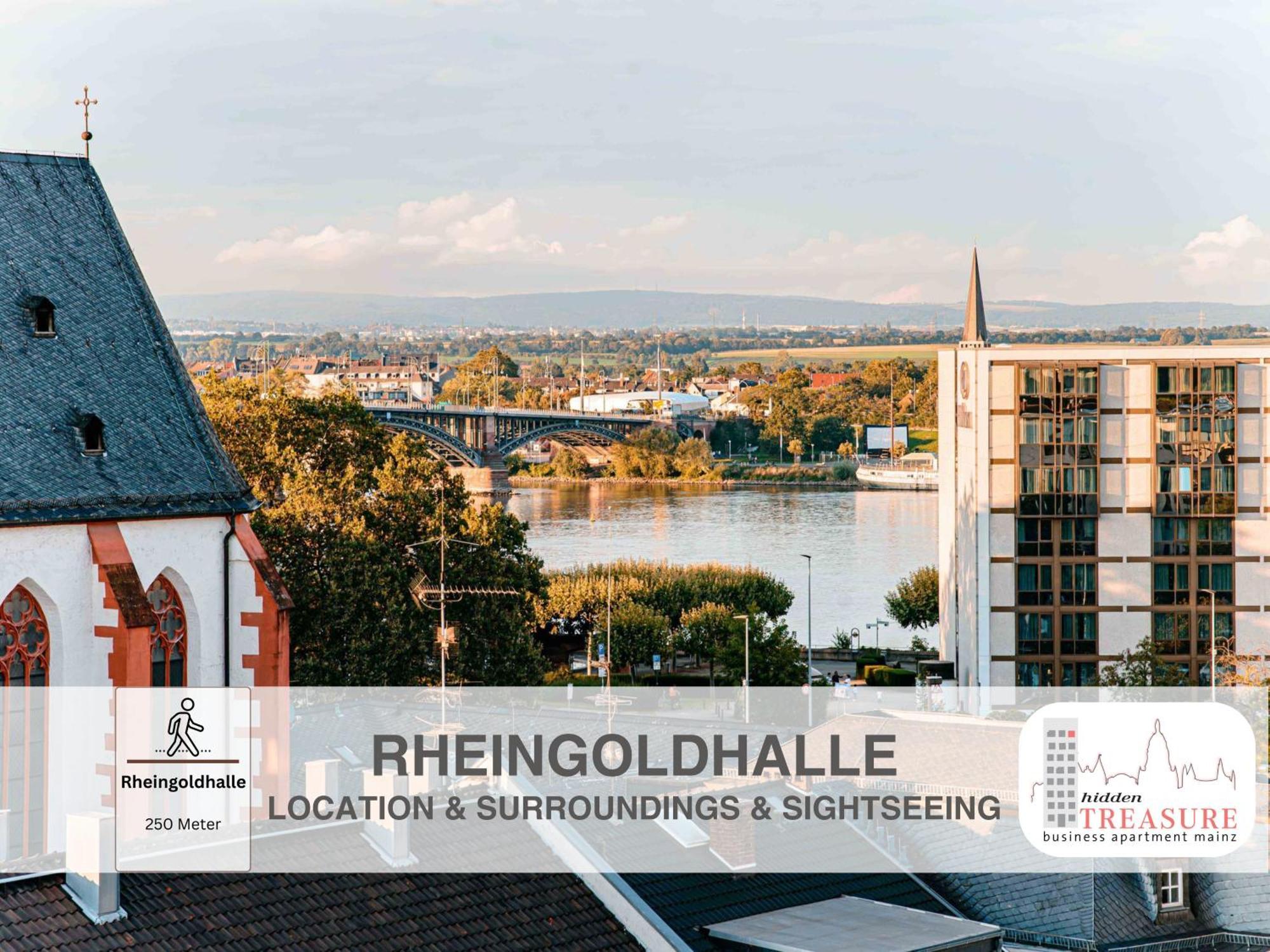 Hidden Treasure Business Apartment Mainz - Fantastic Rhine View In Center Of Mainz Old Town エクステリア 写真